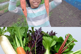 美味しい人参３kg🥕＆宮崎県産☆季節のお野菜セットM(8～9品程度)【未来をつくる笑み野菜】