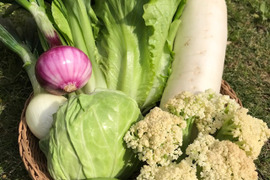 カリフローレ3袋+旬の野菜6袋　☆農業始めて以来、農薬や化学肥料を使っておりません☆彡