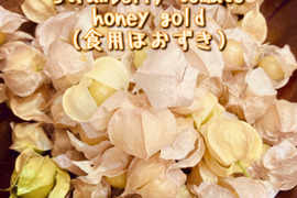 ゴールデンベリー 食用ほおずき 300g