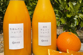 【みかんと清見２種】早生みかん、清見オレンジ１００％無添加ジュースセット