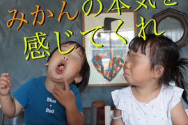 〜みかんの甘さの向こう側を知りたい〜over the みかん🍊【箱込2kg】【お試し価格】