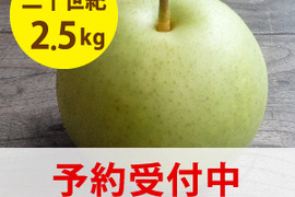 予約数量限定「二十世紀梨」2.5キロ(5～9玉)　※９月上旬発送  たにがみ農園 果汁たっぷり‼ 鳥取県 梨 nashi にじゅっせいきなし