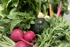 【農薬不使用】畑からおもてなし。野菜セット70サイズ