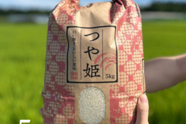 【令和7年新米予約】農家の先生が作る「山形県産つや姫」（5kg無洗米）