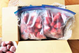 【2kg】ひんやり冷凍イチゴ★紅ほっぺ500g×4袋★かき氷やスムージーに！完熟×土耕でしっかり濃い！
