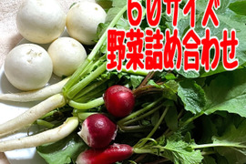 60サイズの野菜セット