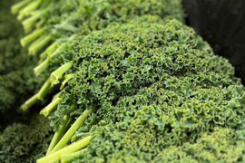 のらくら農場のケール2kg　栄養価コンテスト４冠達成！八ヶ岳山麓で農薬化学肥料を使わずに栽培