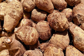 砂丘育ち 黄金里芋 1kg