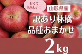 【 限定50箱1600円で販売中 】【 お楽しみ訳ありボックス🍎】山形県天童産 りんご 2.0k 【 林檎訳あり 】【 お試し商品 】【 朝もぎ 】リンゴ