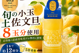 モンドセレクション金賞受賞 土佐文旦8玉分使用 土佐文旦シロップ 360ml
