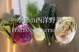 お料理の幅が広がる！ 季節の西洋野菜 Italian selection 60サイズ