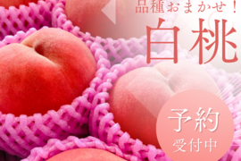 白桃の通販｜桃｜2ページ目｜食べチョク｜産地直送(産直)お