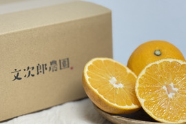 今が旬‼️ぷりぷり食感の小豆島産はっさく5kg