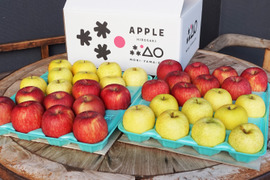 フレッシュ食感✨特別貯蔵の葉とらずふじと王林10kgセット キズなし贈答可　低農薬　特別栽培りんご りんご食べ比べ