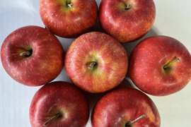 りんごおためし3種セット （B品2㎏）