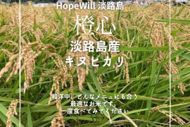兵庫県の玄米で産地直送の商品|食べチョク|産地直送(産直)お 兵庫県の玄米で産地直送の商品|食べチョク|産地直送(産直)お