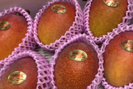 [予約]沖縄県産マンゴー2kg(4〜6玉)
ご家庭用　贈答品でもok