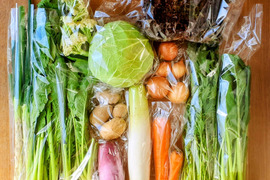 信州四賀より里山の旬野菜セット　6品目　【mini】