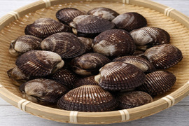 活　赤貝　殻付き 1kg (約7-13個)