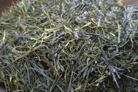 煎茶（2026） 在来種 新茶 加茂自然農園のお茶　農薬・肥料不使用　緑茶