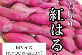 長期熟成　べにはるか　10kg