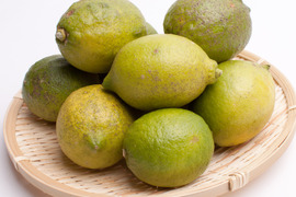 わけあり レモン 5kg