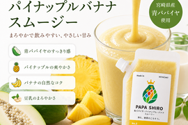 【夏ギフト】お得な5個セット！青パパイヤ酵素スムージー -パイナップル＆バナナ-