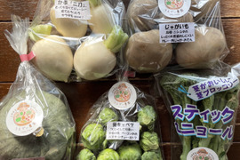 濃甘！野菜セット5種類 農薬・化学肥料不使用♪個包装