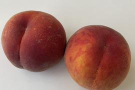 【黄桃】品種おまかせ🍑２キロ🍑【もも】【全部で３品種】【訳あり】【表面は赤いが中は黄色い桃】
