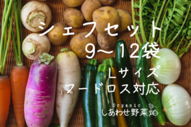 【フードロス対応　規格外野菜使用】　オーガニック野菜　「シェフLセット」 オーガニック野菜 　しあわせ野菜畑