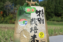 【7年産新米】 残留農薬ゼロの特別栽培米あきたこまち 5kg （玄米）特Aランク 一等米