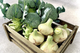新鮮甘々うまうま！　淡路島　超極早生　新玉ねぎ　ブロッコリー　野菜セット