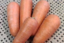 [なゆた農場]人参5kg