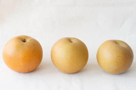 豊水 5kg【12~9個】千葉県船橋市のあま〜い"完熟梨"！ "朝どれの美味しい”なし”を直送いたします”