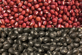 小豆1㎏＋黒豆1㎏＝計2㎏★北海道産★農薬化学肥料･除草剤不使用🫘☺️