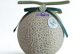 高知県産アールスメロン 5個入り10キロ 高知産アールスメロン5玉10キロ位