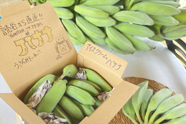 【収穫真っ盛り！】沖縄産バナナ1.5kg❗️注目の新鮮採れたて！