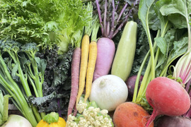 旅する畑から届く、季節の彩り野菜セット（7-8種類）