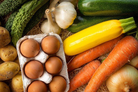 丹波篠山のたまごと夏野菜10種セット