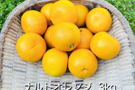 [自然栽培]ナルトオレンジ(3kg)栽培期間中農薬不使用、肥料不使用
