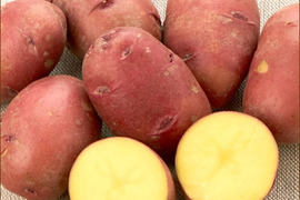 【新じゃがの季節到来!旬をお届け】じゃがいも詰め合わせ(3品目)★稀少品種もあり!!フライドポテトに、カレーに万能じゃがいもを取りそろえました。