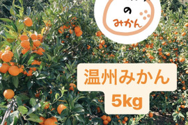 温州みかん 5kg 家庭用