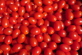 『丁寧に取ります』ヘタとりアイコ（３kg） おいしさはヘタ付きと変わりなし！調理やシェアにオススメ！