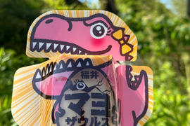 【幻の福地鶏】【ふんわり新食感！】マヨザウルス（ピンク）