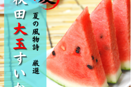 「旬」すいか 秋田県産 大玉1玉入 フレッシュスイカ 夏の風物詩 ギフト お中元 夏丸