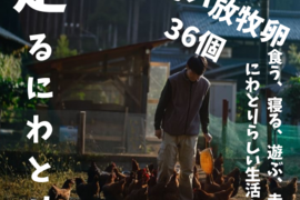 【走り回る！平飼い放牧卵・36個】走って、発酵飼料を食べて、谷川天然水を飲んで！¥3,600