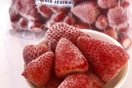冷凍いちご 2kg(小分け真空パック500g×4袋)入りイチゴ農家 直送