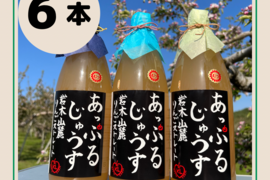 希少品種❗️サンむつのりんごジュース🍹【限定予約販売】リピーター続出中❗️