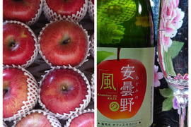 {予約販売}サンつがる林檎約1.5kgと辛口シードルのセット 安曇野の風750ml。爽やかな切れ味雑味無し女性のお客様に特に支持を賜っています。サンつがるりんごは果汁が多く甘味を引き立てる酸味が魅力。