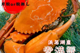 訳アリ【浜名湖産】茹で堂満蟹(ノコギリガザミ)　小サイズ1杯約300～400ℊ